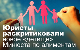Юристы раскритиковали новое «детище» Минюста по алиментам