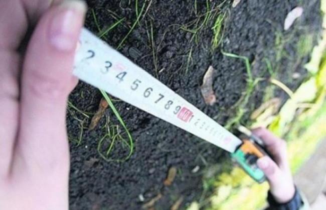 Полиция задержала чиновницу, требовавшую взятки за предоставление земли