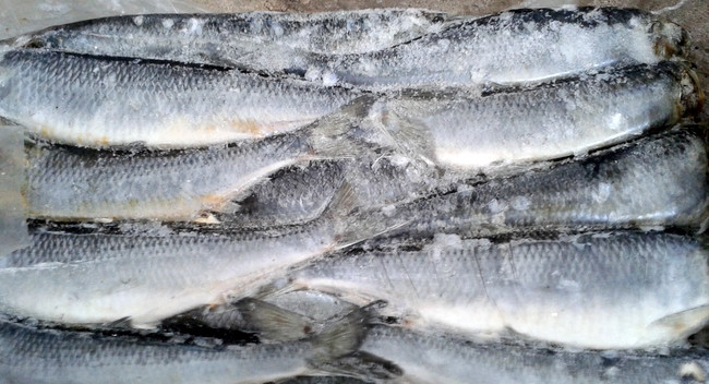 Киевлян поразили видео из супермаркета в столице