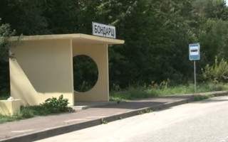 Убийство студентки в Житомирской области: все подробности дела