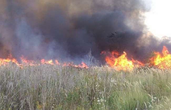 Трагедия под Харьковом: женщина сгорела вблизи своего дома