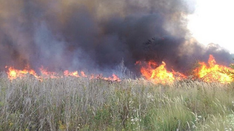 Трагедия под Харьковом: женщина сгорела вблизи своего дома