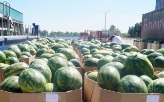 Арбузы для Киева начали грузить на баржу