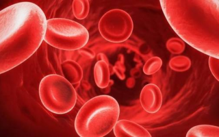 Ученые: из любой группы крови можно получить I группу