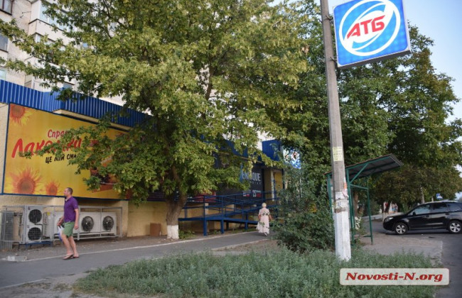 В Николаеве жестоко избили полицейского: все подробности