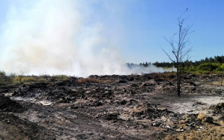 Масштабный пожар под Харьковом: спасатели тушат загоревшуюся свалку
