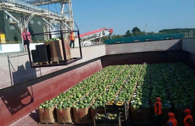 В Киевскую область добралась первая баржа с херсонскими арбузами