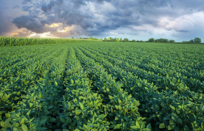 Пользование землей без правоустанавливающих документов: решение суда