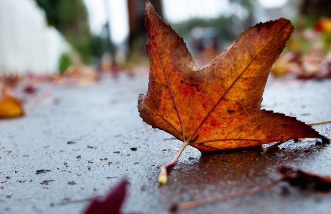 Синоптики пообещали жаркий сентябрь