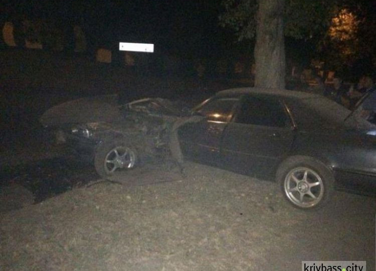 Автомобиль разорвало пополам: в Кривом Роге парень на иномарке влетел в дерево