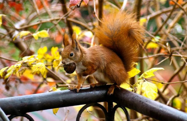 Начало месяца будет теплым, затем придут заморозки: прогноз погоды на сентябрь