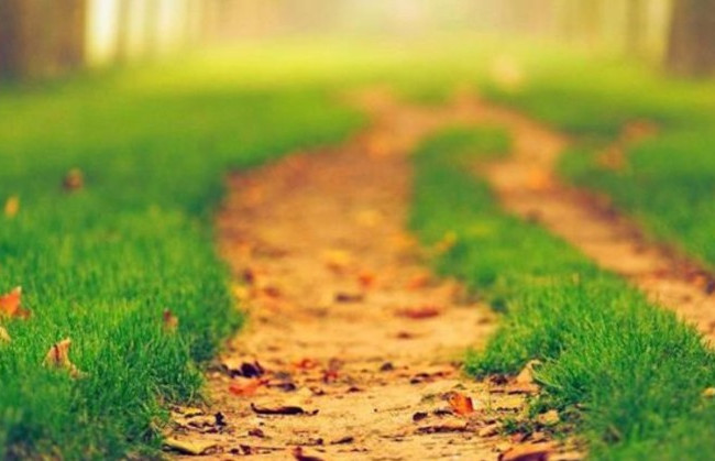 Два «бабьих лета»: появился прогноз погоды на сентябрь