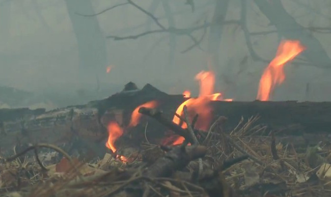 По тревоге подняли авиацию: под Харьковом произошел масштабный пожар