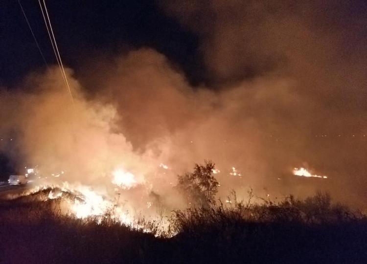 Страшный пожар в Южном: горело все побережье Куяльника