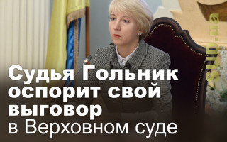 Судья Гольник оспорит свой выговор в Верховном суде