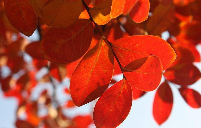 Жара до 35 градусов: синоптики предупредили о дождях