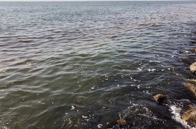 В море под Одессой зафиксировали странные пятна