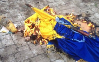 Сжег государственные флаги: суд вынес суровый приговор вандалу