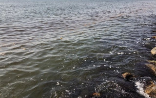 В море под Одессой зафиксировали странные пятна