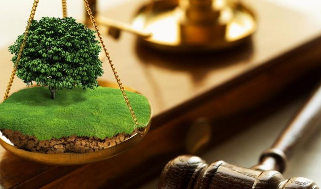 Земельные махинации: суд взыскал с предприятия круглую сумму