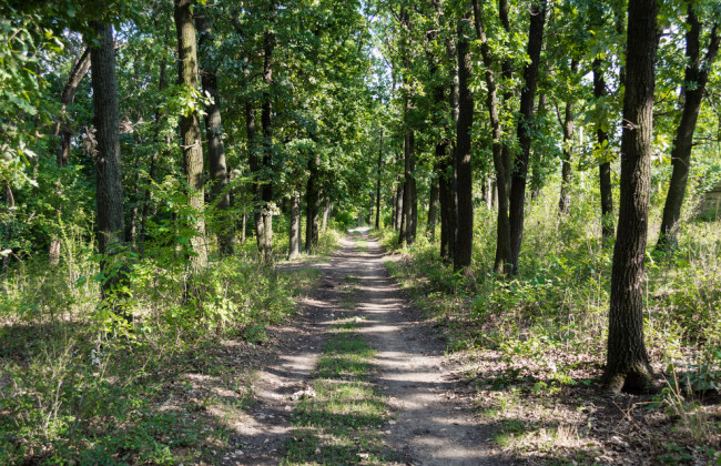 Страшная находка: мертвого ребенка нашли в Кривом Роге