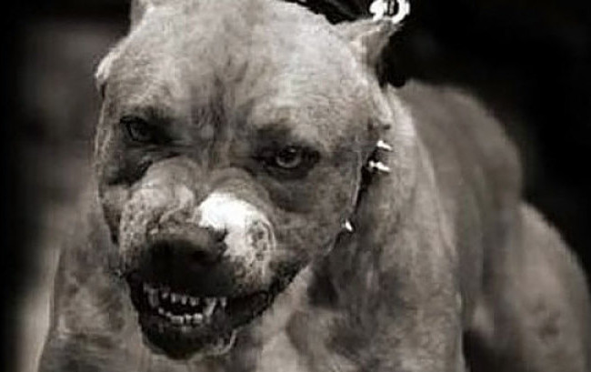 Депутата судят за избиение прохожей