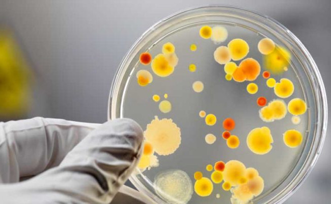 Один ребенок умер: беременная мать и дети отравились на Волыни