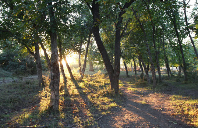 Страшная находка: на окраине Харькова нашли мертвую девушку