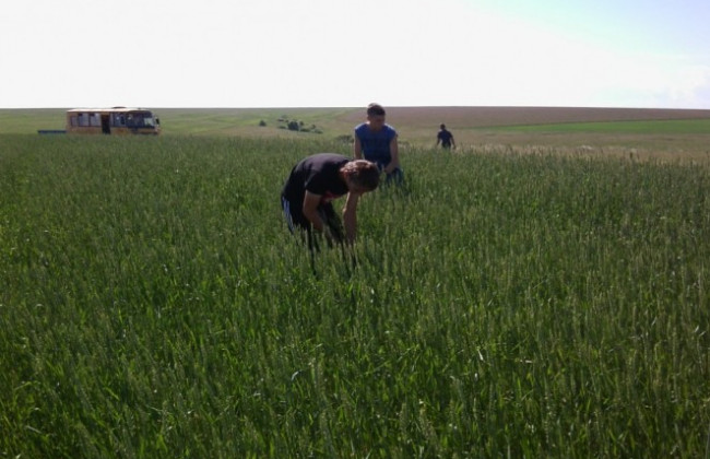 «Воспитанников сдавали в рабство»: директор интерната оказался депутатом