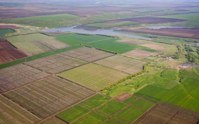 Земельные махинации на сотни тысяч гривен: прокуратура взялась за депутата