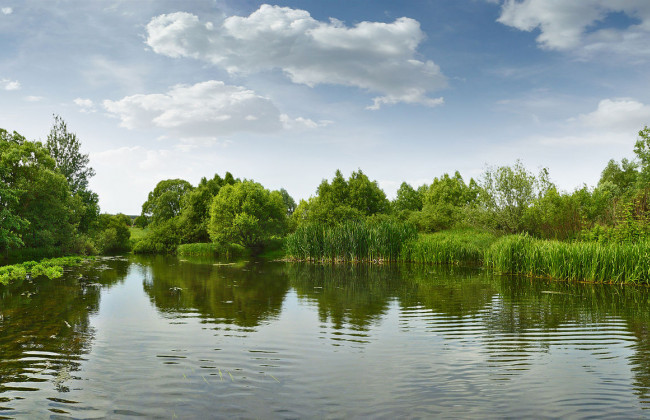 «С камнем и раной в груди»: из реки выловили труп мужчины