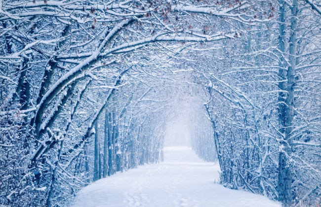 Какой будет зима: синоптики дали прогноз