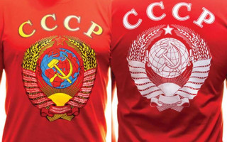 Неизвестные напали на девушку в Житомире из-за надписи на футболке