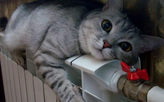 Начало отопительного сезона: когда в квартиры киевлян дадут тепло