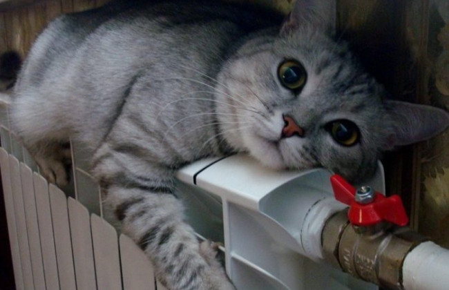 Начало отопительного сезона: когда в квартиры киевлян дадут тепло