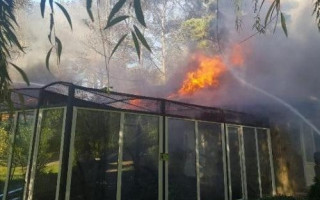 Адская ловушка: в Черкассах горел зоопарк