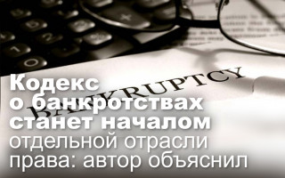 Кодекс о банкротствах станет началом отдельной отрасли права: автор объяснил