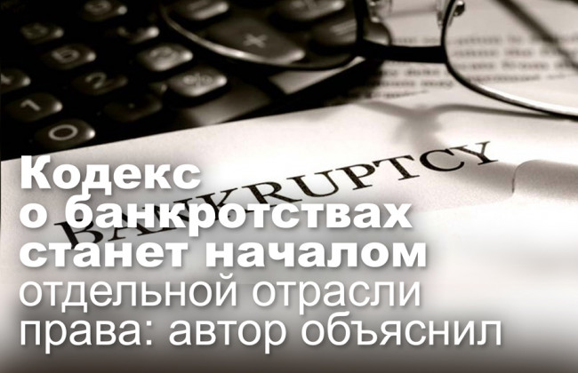 Кодекс о банкротствах станет началом отдельной отрасли права: автор объяснил