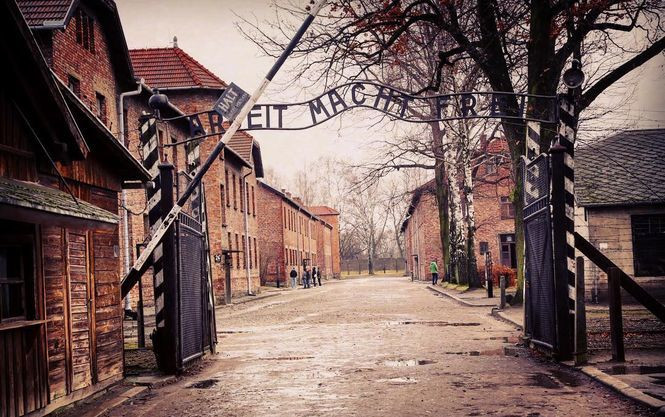 Вырезал свое имя на стене Освенцима: в Польше задержали туриста
