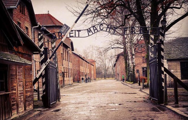 Вырезал свое имя на стене Освенцима: в Польше задержали туриста