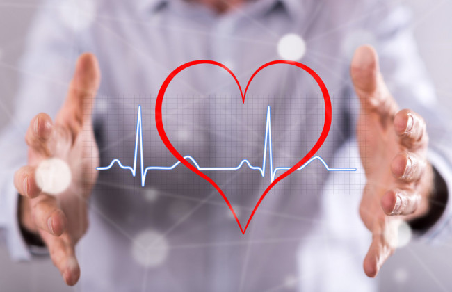 Что поддержит здоровье сердца и сосудов