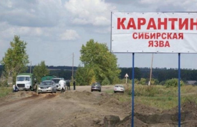 Вспышка сибирской язвы: в Одесской области село закрыли на карантин