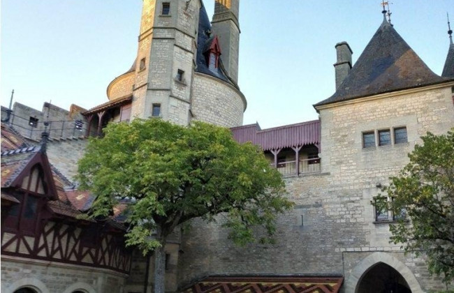 Во Франции арестовали украинского коррупционера, который владел замком и картинами Дали