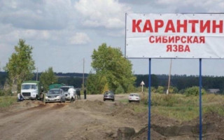 Вспышка сибирской язвы: в Одесской области село закрыли на карантин