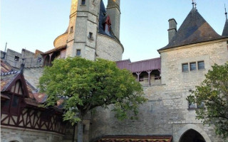 Во Франции арестовали украинского коррупционера, который владел замком и картинами Дали