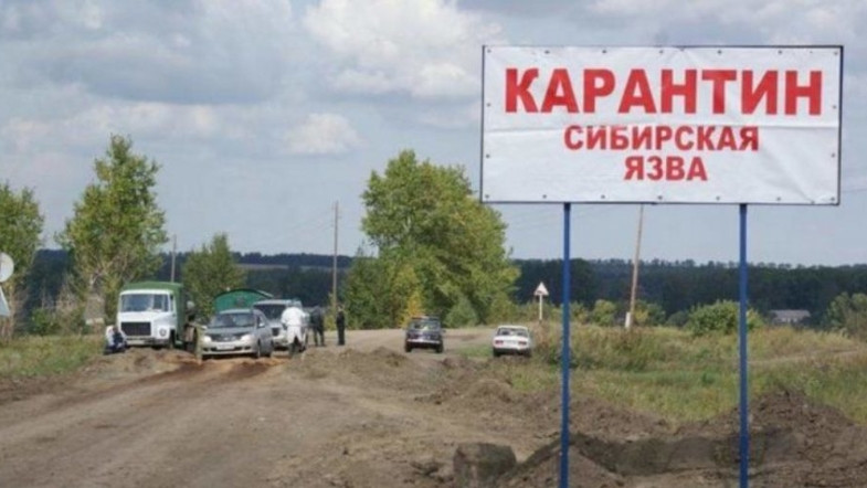 Вспышка сибирской язвы: в Одесской области село закрыли на карантин