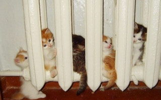 В некоторых районах Киева повышают тарифы на отопление и воду