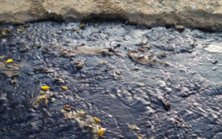 Фиолетовая вода и вонь: в Крыму произошла новая катастрофа