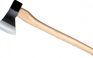 Зарубила топором родную мать: суд вынес приговор горе-дочери