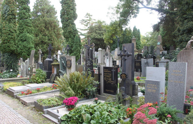 Страшная находка: труп мужчины нашли возле кладбища в Одессе